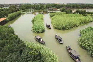 烽火蘆蕩，青春定向 2019首屆華僑城杯沙家浜紅色定向賽邀您啟程